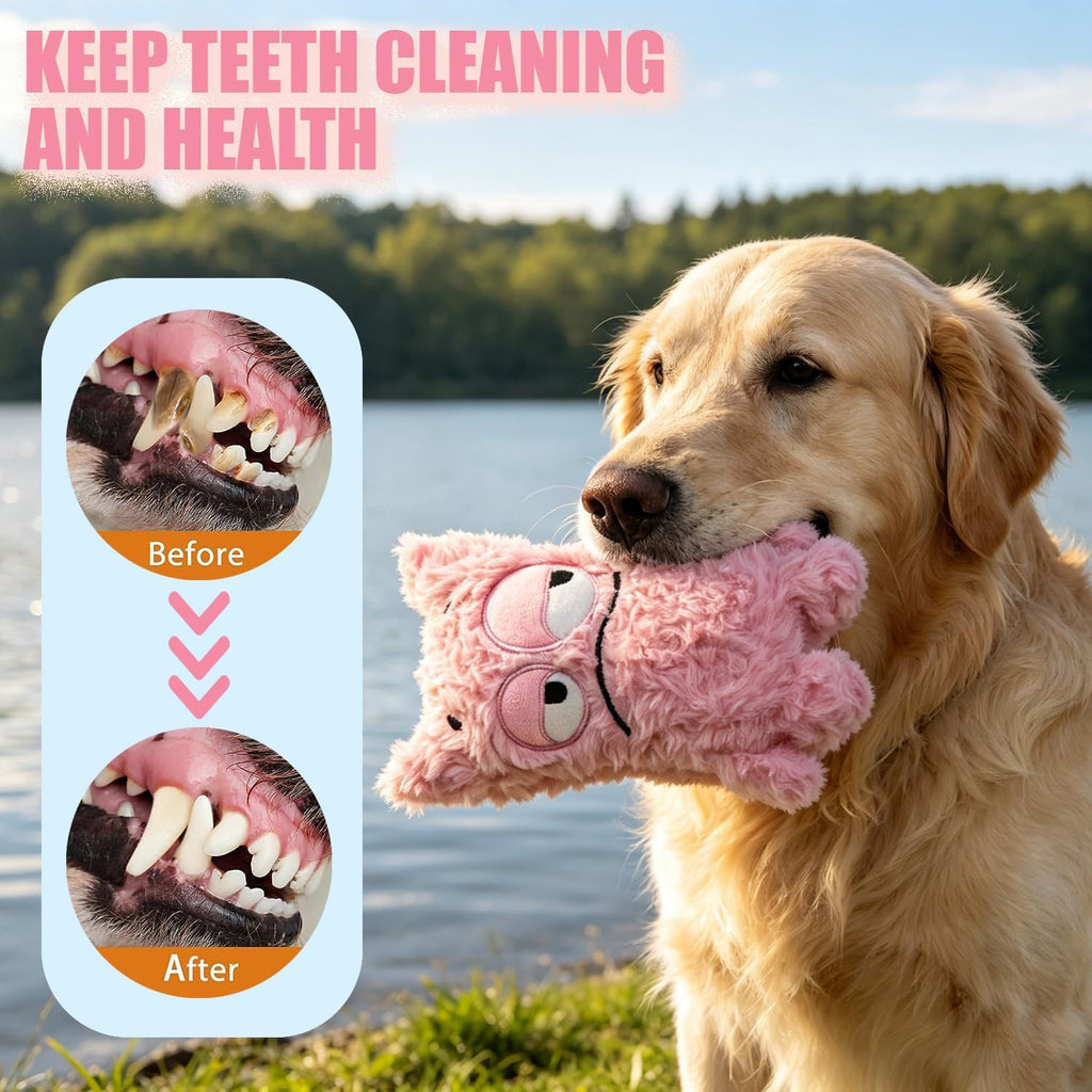 Monster Dog Valentine Toy for Puppy Gifts, Stuffed Dog Plush Toy | Crinkle Squeaky, Soft Lightweight Toy for Fetch and Chew, Interactive Outdoor Indoor Play for Tug, For Puppy Small Medium Dog