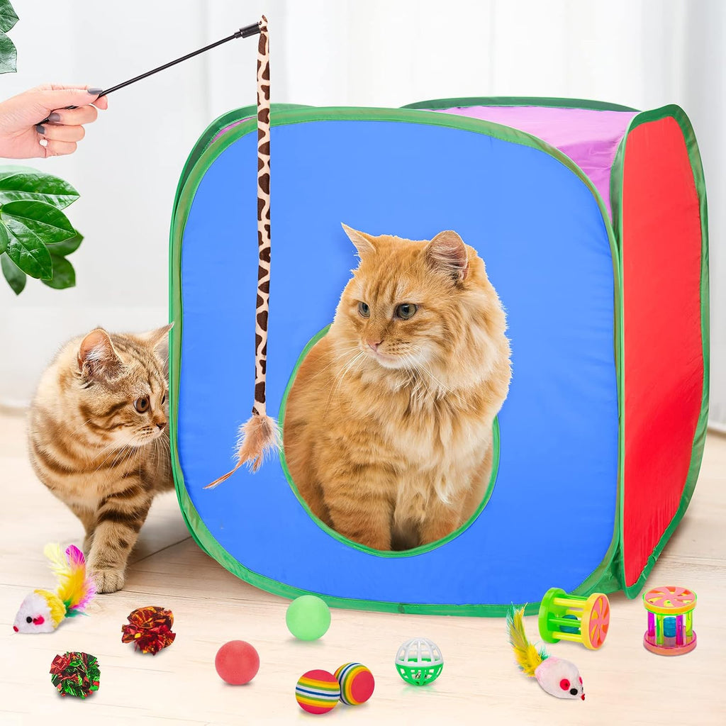 Retro Shaw 33 Pack Cat Toys with Tunnel for Indoor Cats