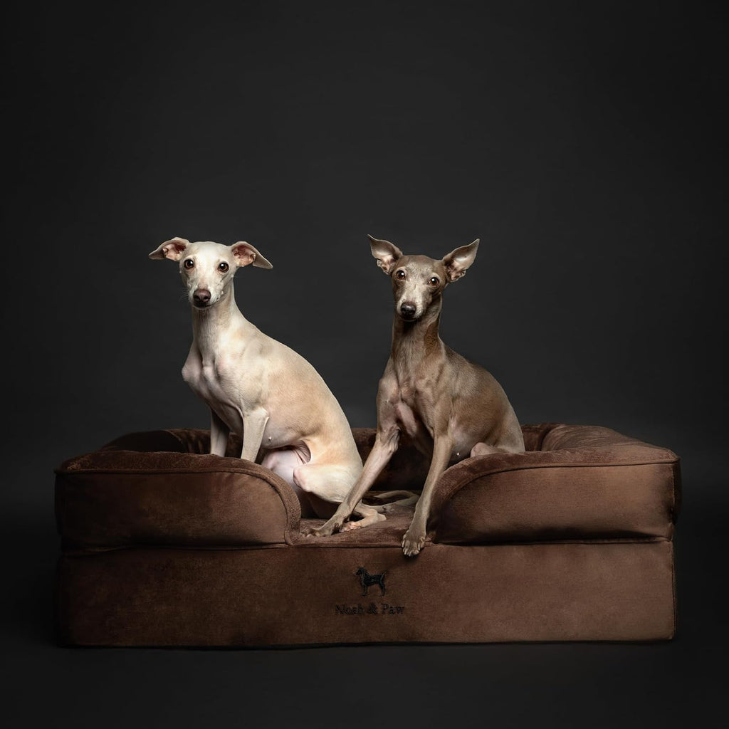 NOAH & PAW Dog Bed, Orthopedic Memory Cooling Foam (2X Base) 35x25x11in