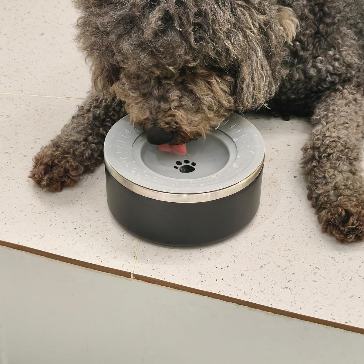 Stainless Steel Dog Water Bowls, No Spill Water Bowls for Dogs, Black