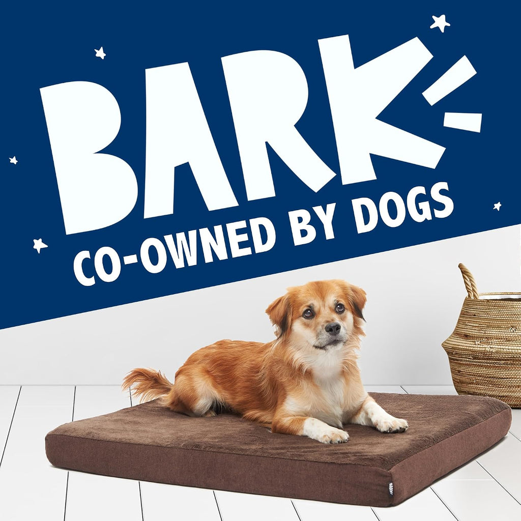 BarkBox Orthopedic Dog Bed - Medium