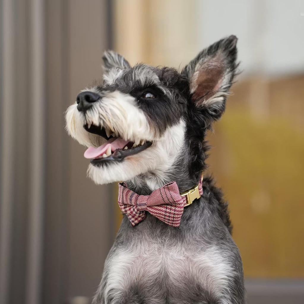 Beirui Cute Small Dog Harness and Leash Set Bowtie, Brown,XS,Chest 13-28"