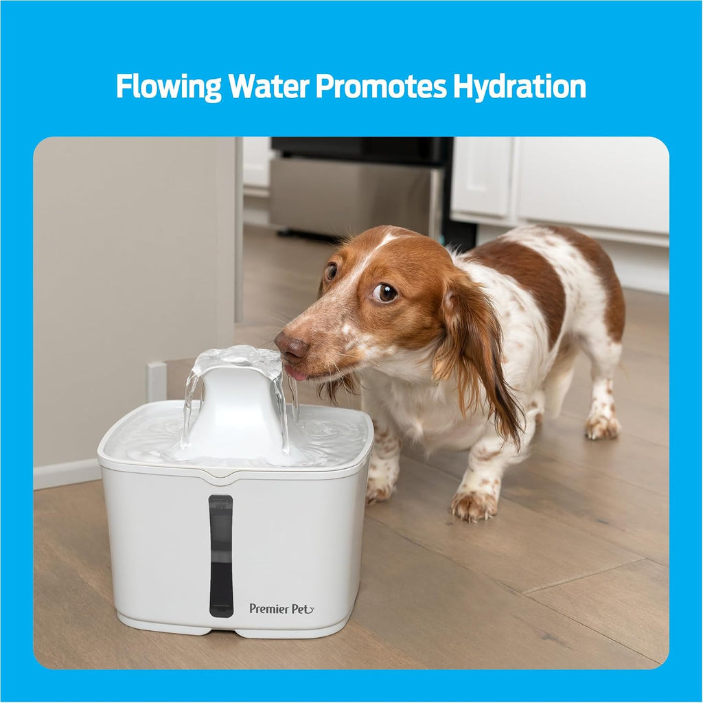 Premier Pet 60 oz Automatic Water Fountain for Dogs & Cats, Dual-Filter