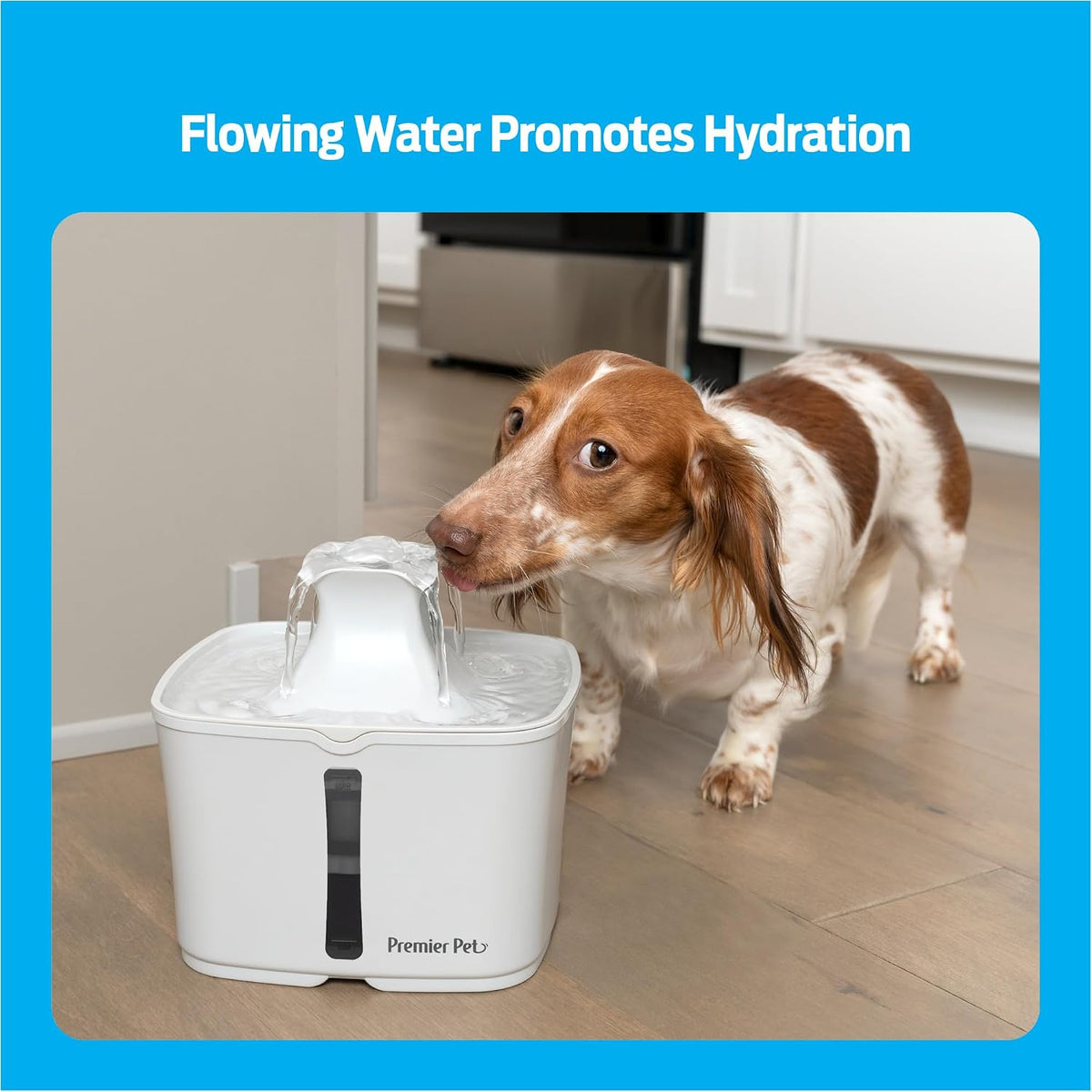 Premier Pet 60 oz Automatic Water Fountain for Dogs & Cats, Dual-Filter