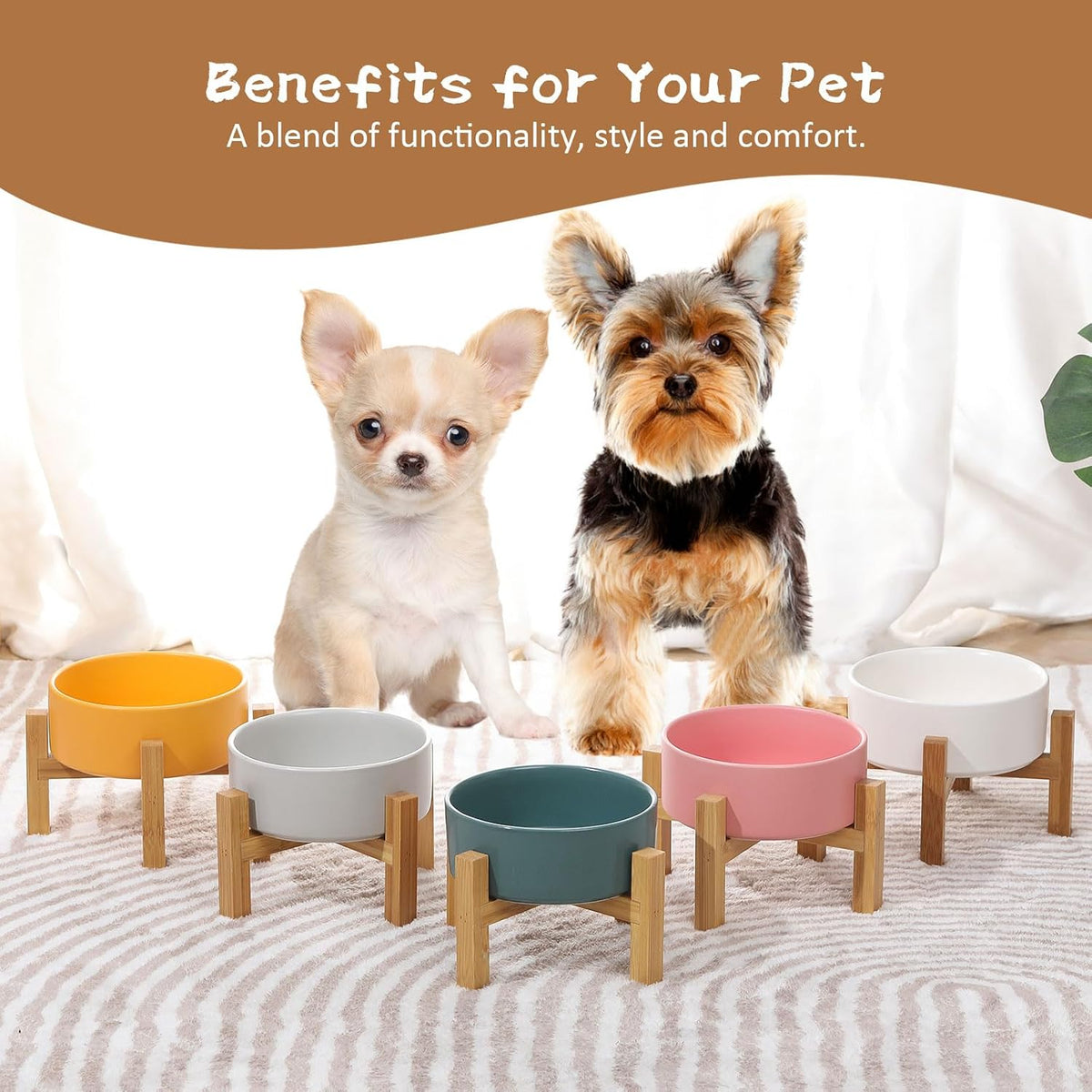 Elevated Ceramic Cat Bowl - Cat Food Bowl with Bamboo Stand - Raised Dog Dish for Puppies - Anti Vomiting, Stress Free - 13.5 oz / 400 ml - White 
