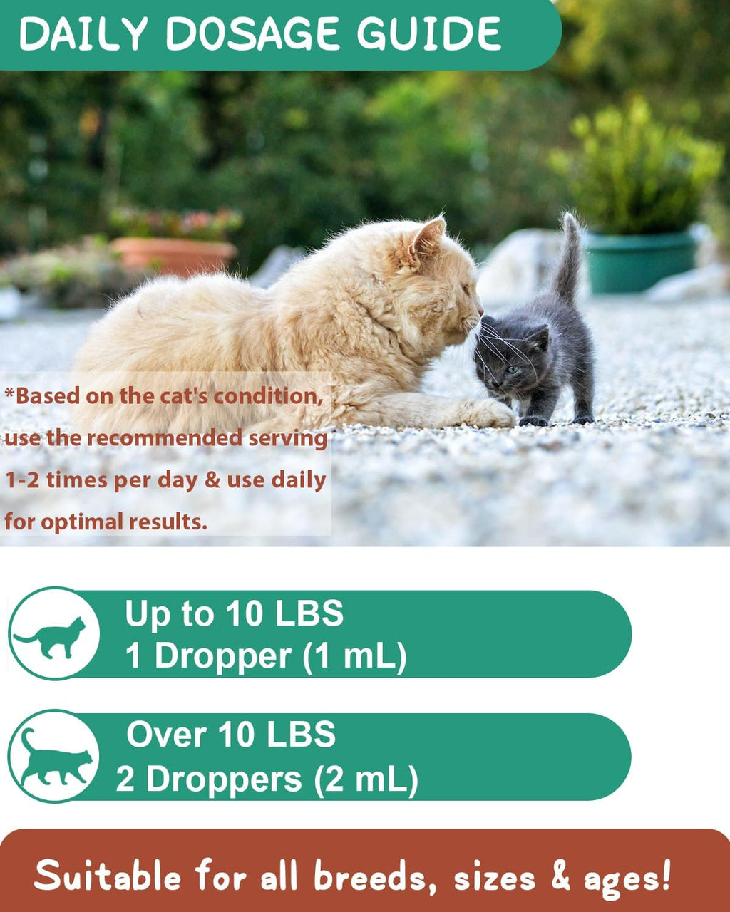 Hairball Treatment for Cats - Cat Hairball Remedy - with Natural Ingredients & Vitamins - Kitten Furball Treatment - Supports Skin & Coat, Digestion - Cat Grass Flavor
