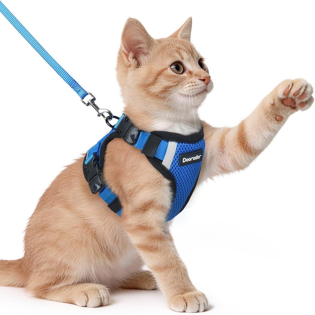 Dooradar Cat Harness and Leash Set with Neck Release Buckle, Royal Blue