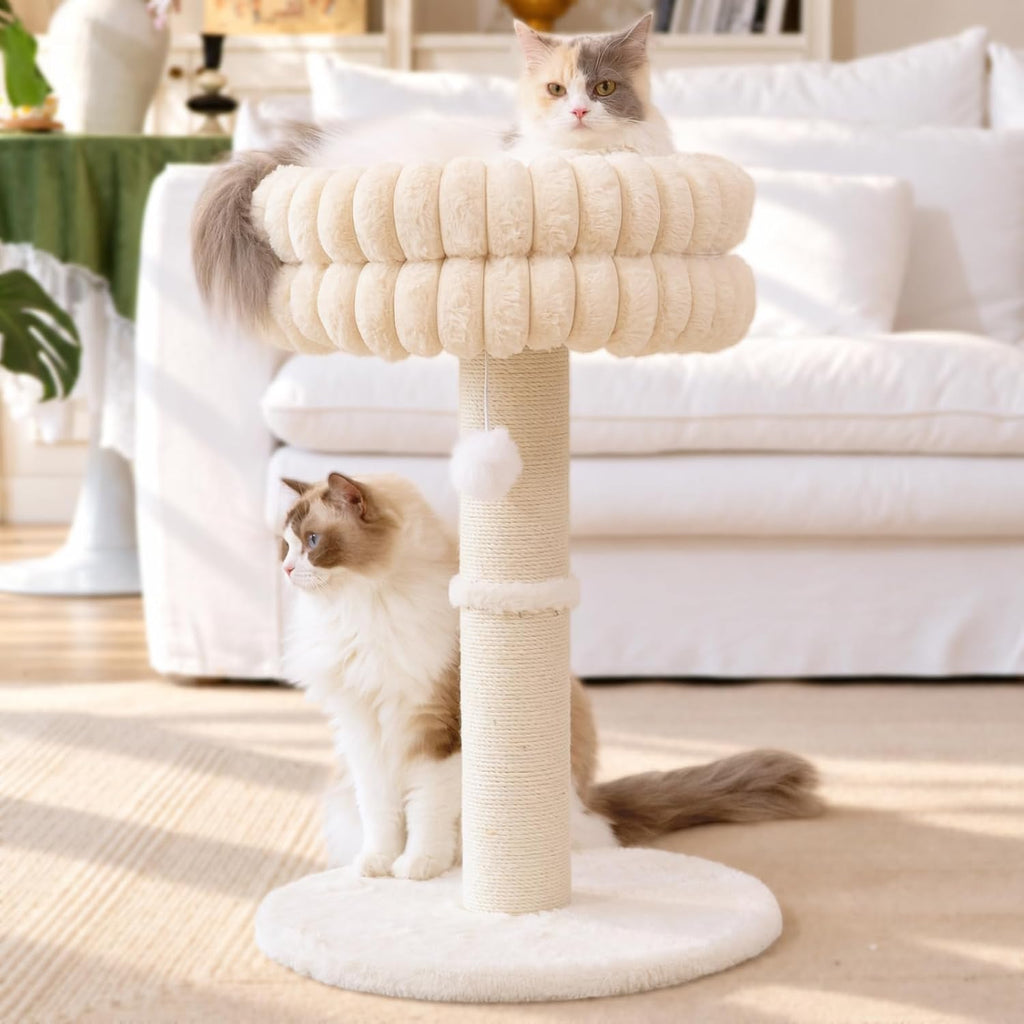CHEERPALS Cat Scratching Post with Bed for Indoor Cats Cloud Cat Tree