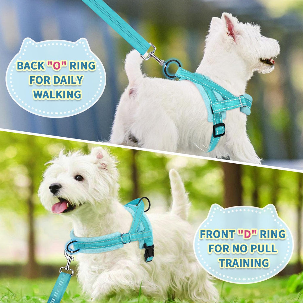 SlowTon No Pull Small Dog Harness and Leash Set with Front Clip
