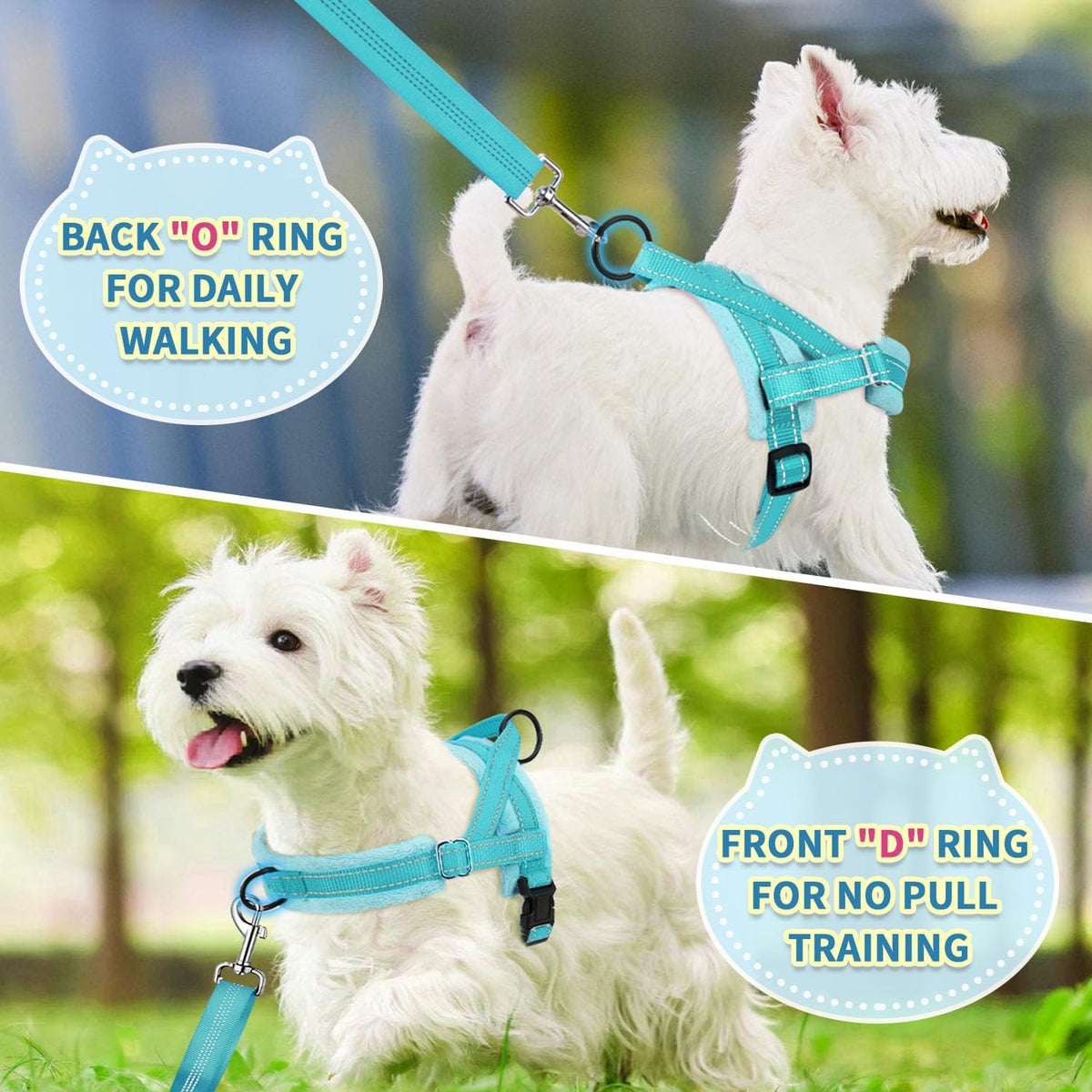 SlowTon No Pull Small Dog Harness and Leash Set with Front Clip