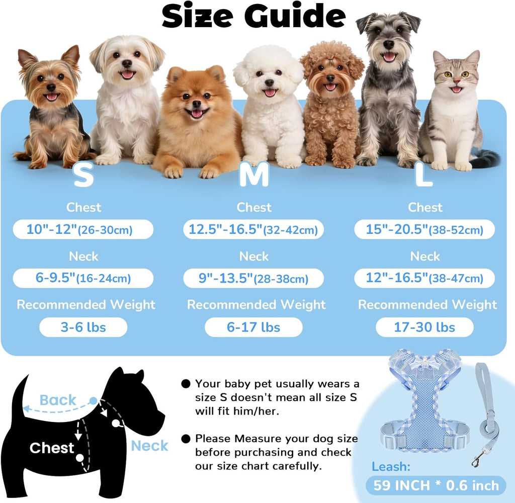 ABRRLO Cute Puppy Harness and Leash Set for Small Dogs Cats Boys,Blue,S