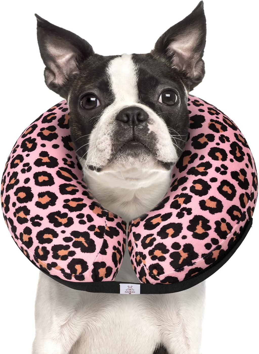 CuteBone Dog Recovery Cone for Small Medium Dogs & Cats