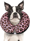 CuteBone Dog Recovery Cone for Small Medium Dogs & Cats