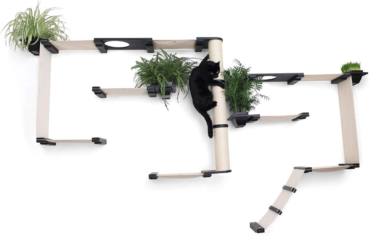 CatastrophiCreations Gardens Set for Cats Multiple-Level Wall Mounted Scratch, Hammock Lounge, Play & Climbing Activity Center Furniture Cat Tree Shelves