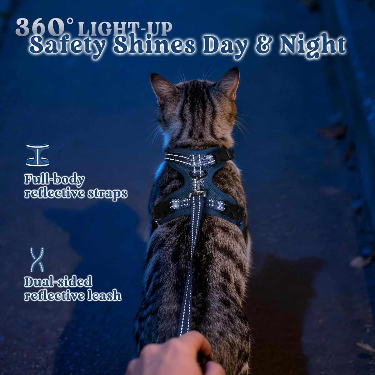 rabbitgoo Cat Harness and Leash Set, Easy-on with Neck Buckle, Navy Blue