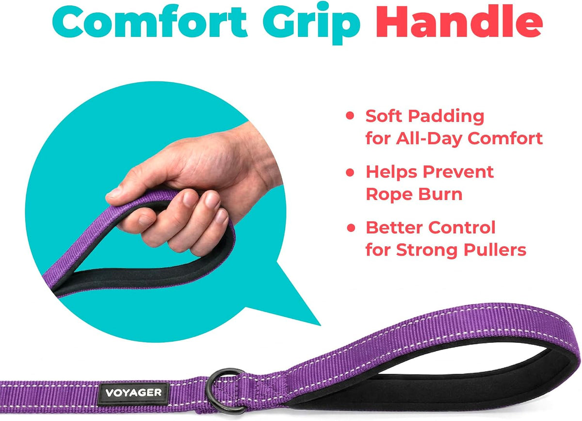 Best Pet Supplies Voyager Nylon Dog Leash - Purple, Large