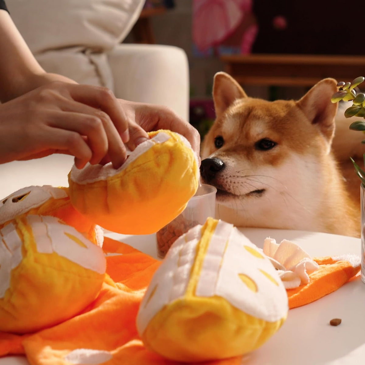 Nocciola Hide and Seek Plush Dog Toys, Orange Tangerine Interactive Dog Toy for Small Dogs, Puppy Squeaky Toy with Crinkle Papers, Puzzle Toy for Boredom, Nosework Pet Toy for Small Medium Dogs