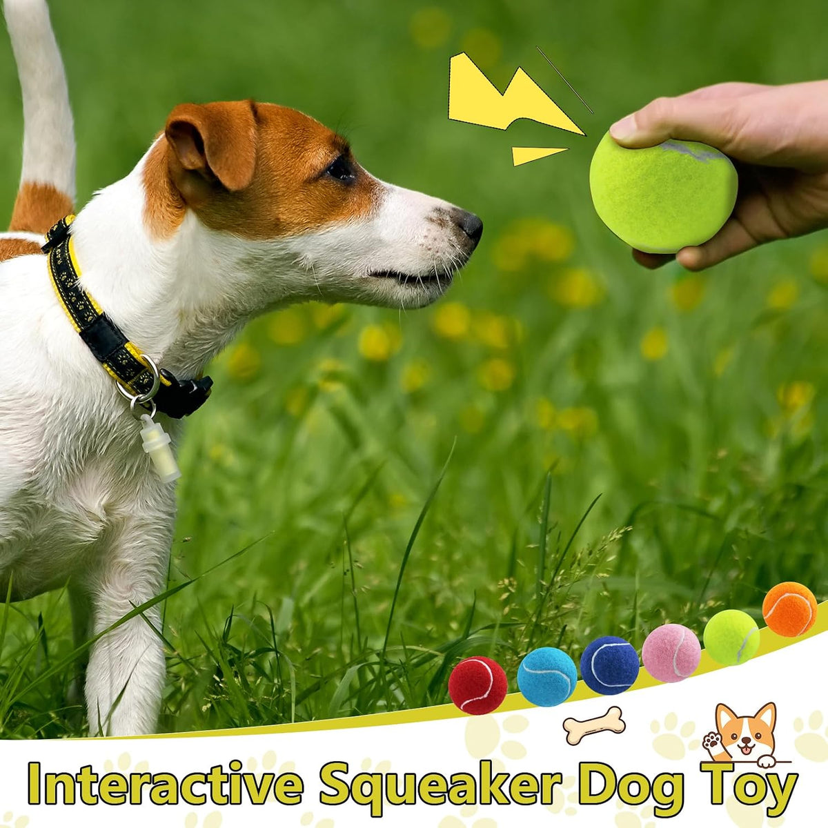 Swingers Squeaky Tennis Balls for Dog, 2.5 Inch Training Tennis Balls | Exercise Ball for Pet Dog with Mesh Carry Bag, Easy to Transport, Yellow, 6 Pack, For Interactive Play, Anxiety Relief