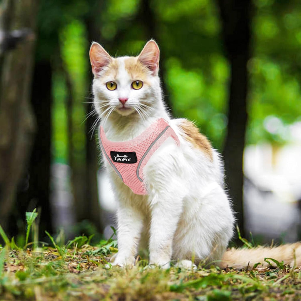 Twoear Cat Harness and Leash Set, Escape Proof Kitten Harness for Walking