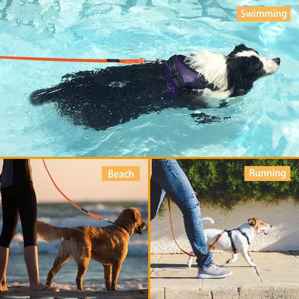 Vivifying Waterproof Long Dog Leash, 20ft Dog Training Leash, Orange
