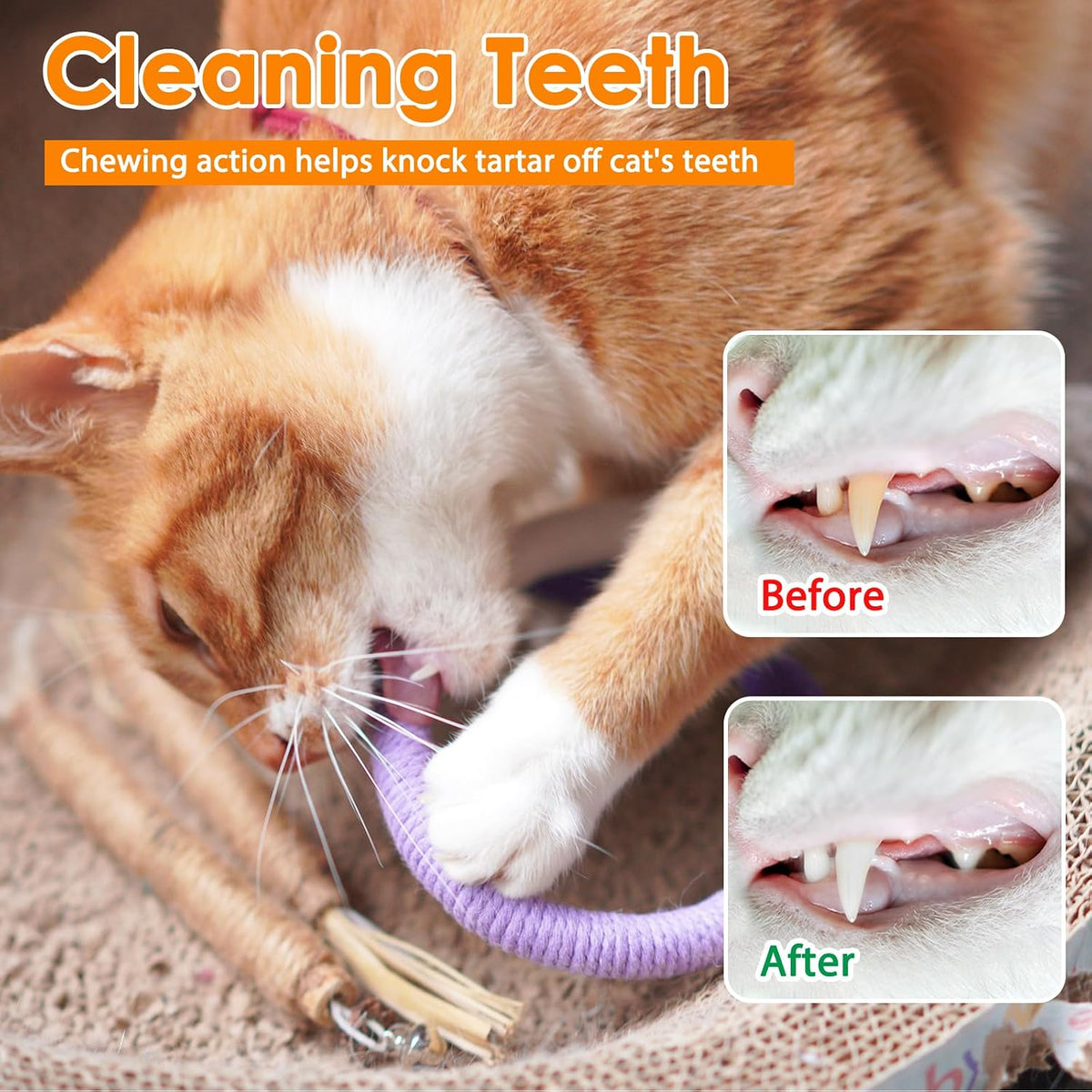 Tocirelo Silvervine Stick for Indoor Cats, Kitten Chew Rope Toys