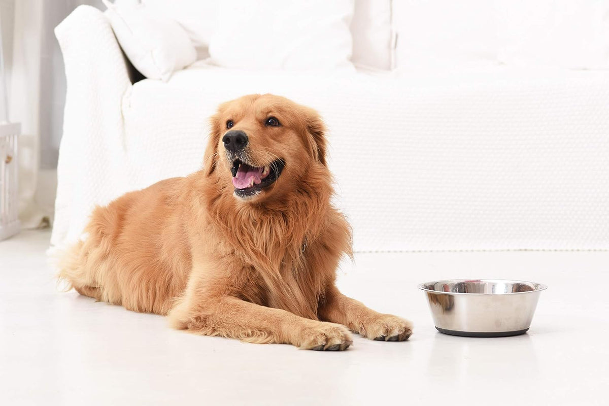 Deep Stainless Steel Anti-Slip Dog Bowls - 2-Pack, 8 Cups 