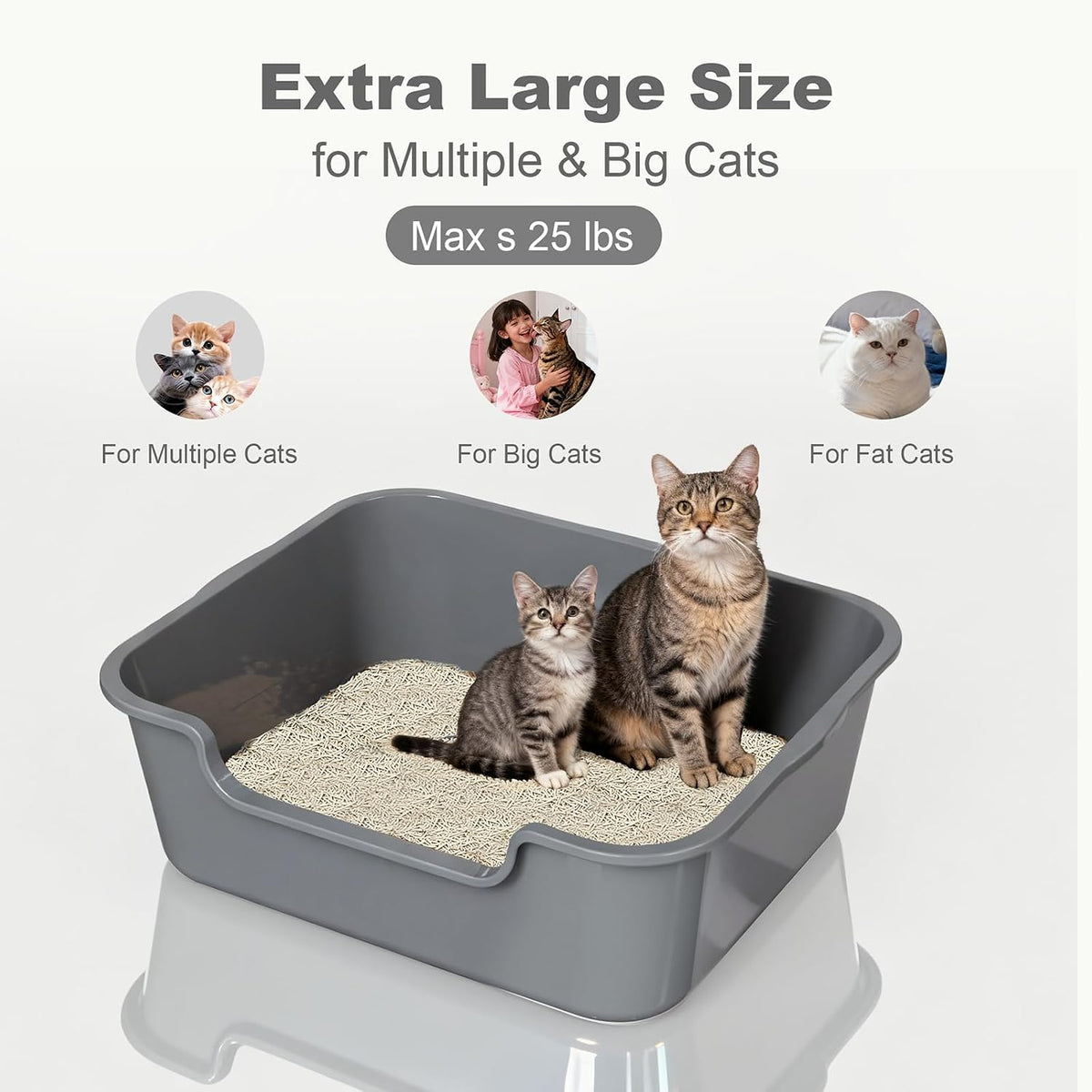 Extra Large Low Entry ABS Cat Litter Box, Grey, 24" L x 20" W x 8", 1 Pack | Durable low entry litter box, non-stick, odor-free, ideal for seniors, kittens, rabbits, large cats and multi-pet homes.