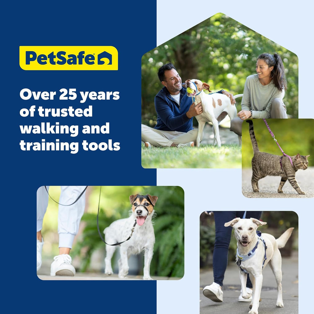 PetSafe Come with Me Kitty Harness and Bungee Cat Leash, Lilac, Small