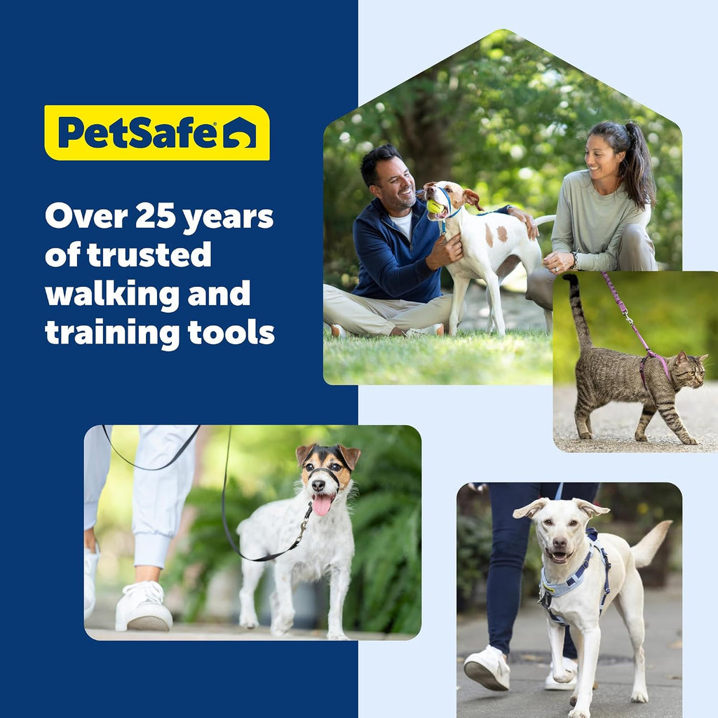 PetSafe Nylon Dog Leash - Strong, Durable, Traditional Style Leash with Easy to Use Bolt Snap - 1 in. x 4 ft., Red