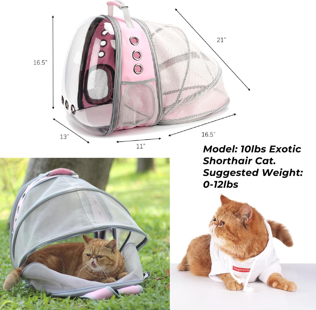 Lollimeow Expandable Bubble Cat Carrier Backpack, Supports up to 14 lbs