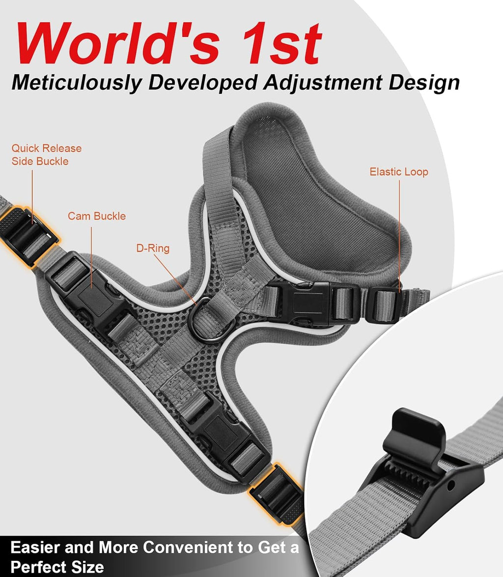 Cat Harness and Leash for Walking Escape Proof Soft Adjustable Cat Leash