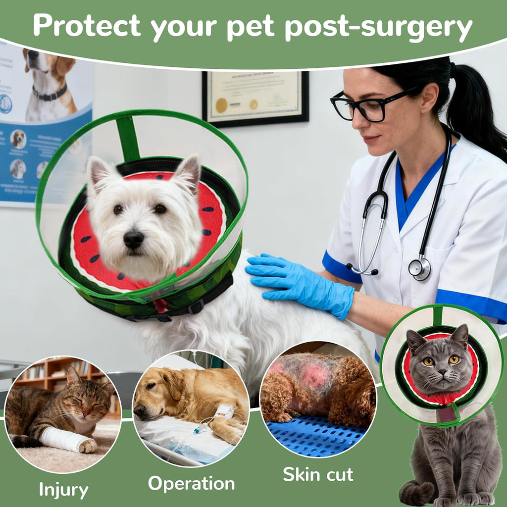 Inflatable Dog Cone Collar with Anti-Licking Clear Shield, Adjustable Elizabethan Collar, Soft Recovery Collar for Dogs, Dog Cones Alternatives for Large Medium Small Dogs & Cats