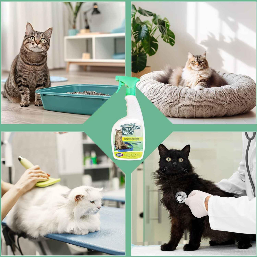 ZORBX Unscented Cat Litter Deodorizer Spray 24 Oz, Litter Box Deodorizer