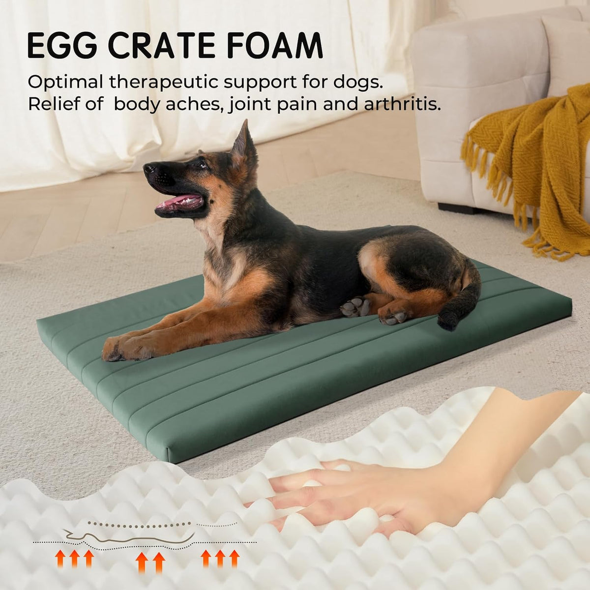 BALANCE Dog Crate Bed, Orthopedic Dog Bed Pad with Waterproof Liner, Washable Crate Foam Pet Mat for Large, Medium, Puppy Dogs Breeds, Mint Leaf, 48"x30"x2"