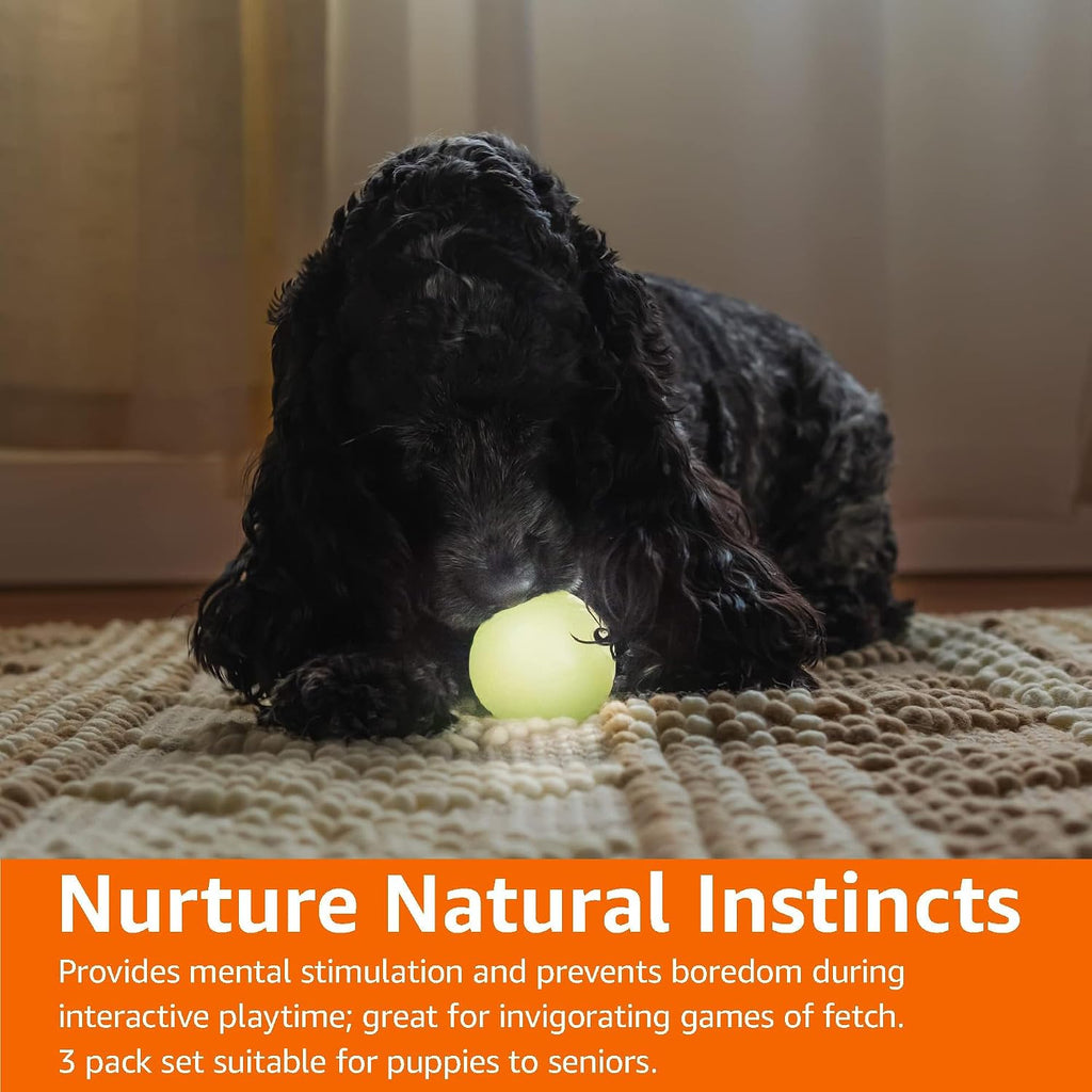 Amazon Basics Interactive Bouncy Durable Rubber Dog Toy Balls, Glow, 2.5 inch, Beige, Pack of 3