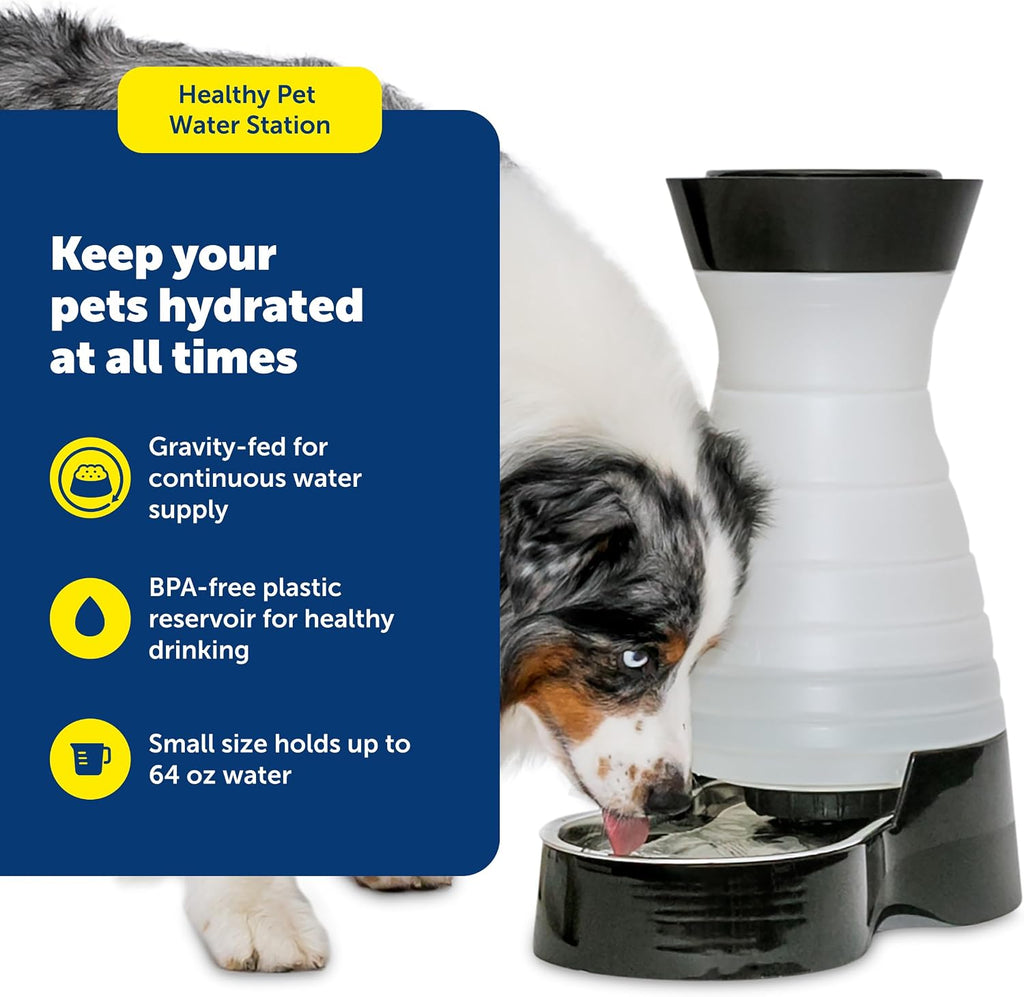 PetSafe Healthy Pet Water Station, 64 oz, Stainless Steel Bowl, Small