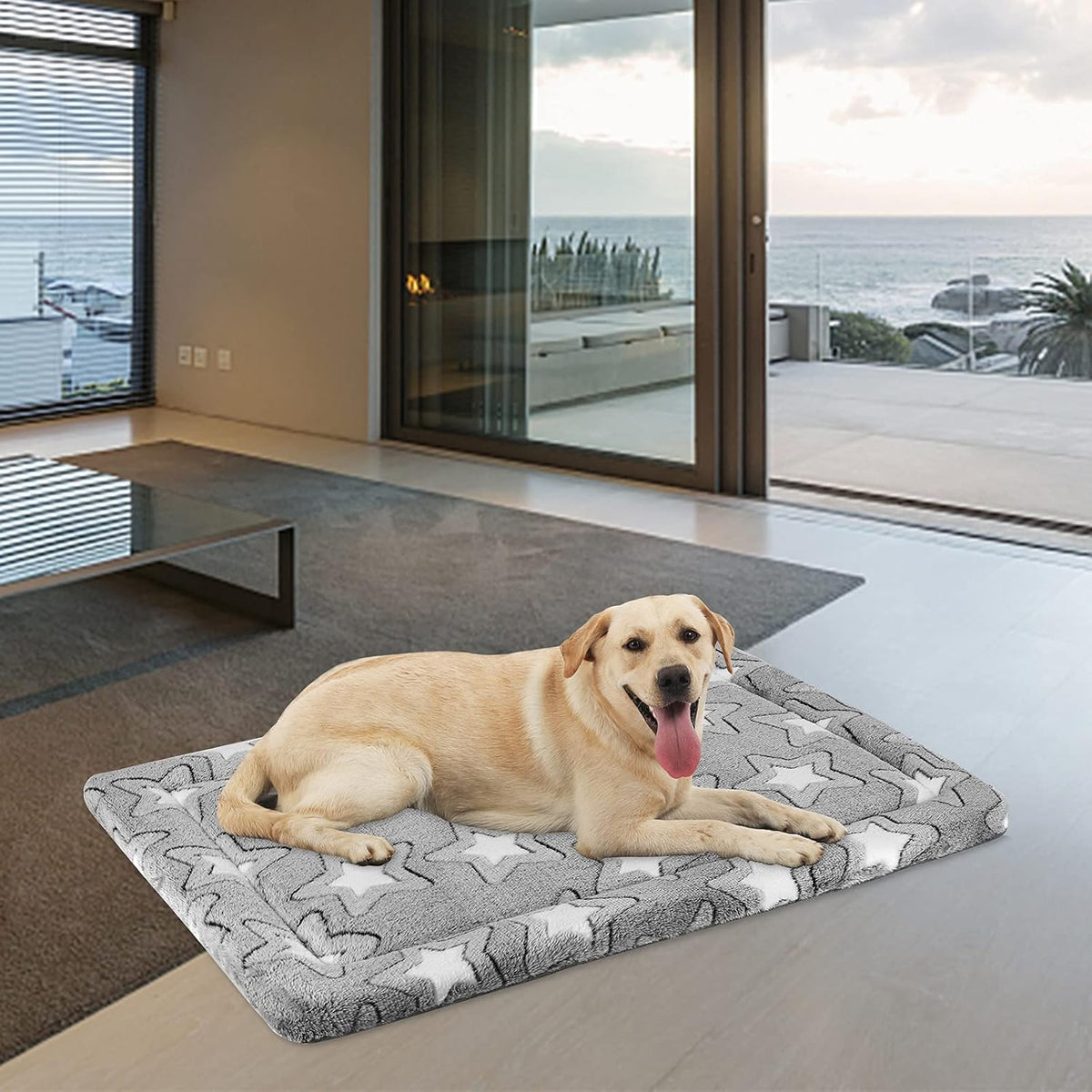 EMPSIGN Dog Crate Pad for 42"x28" Dog Crate, Star Pattern/Grey