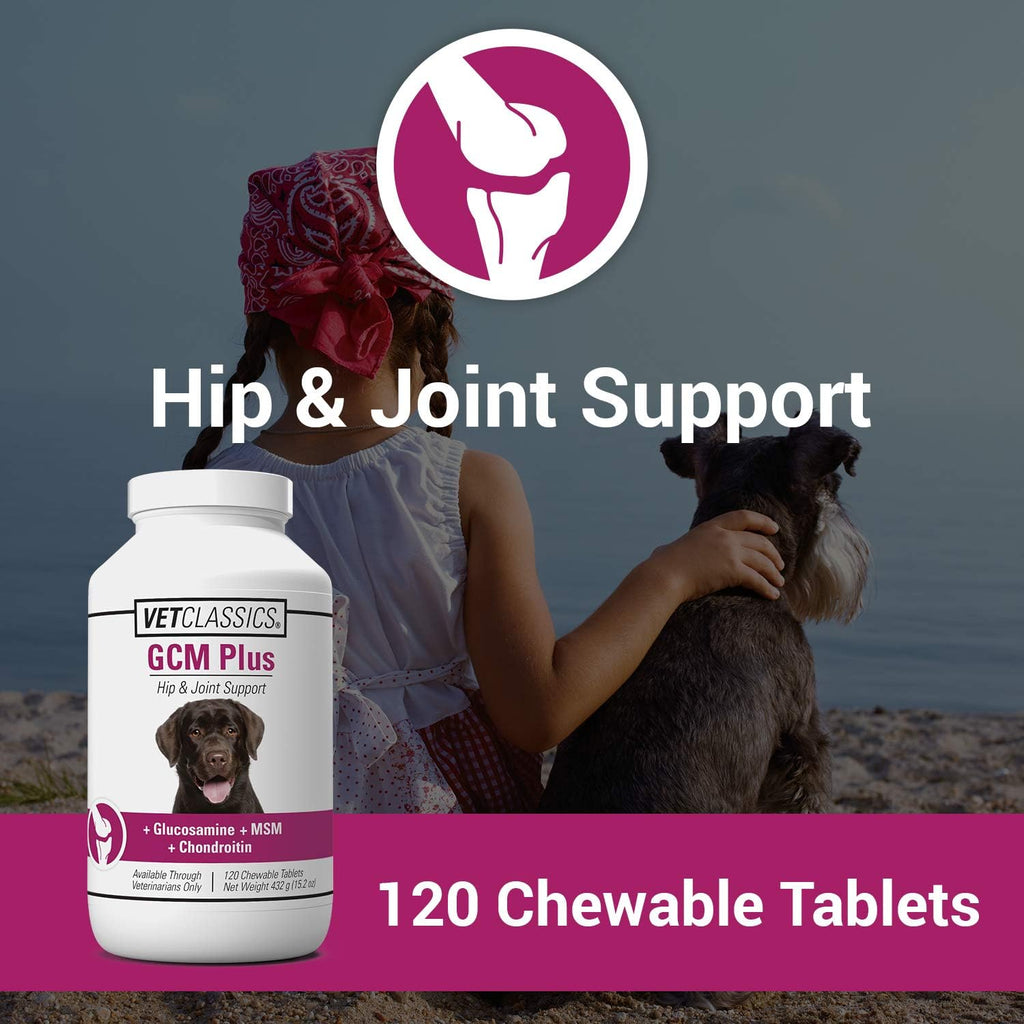 Vet Classics GCM Plus Hip & Joint Support Supplement for Dogs - 120 Ct