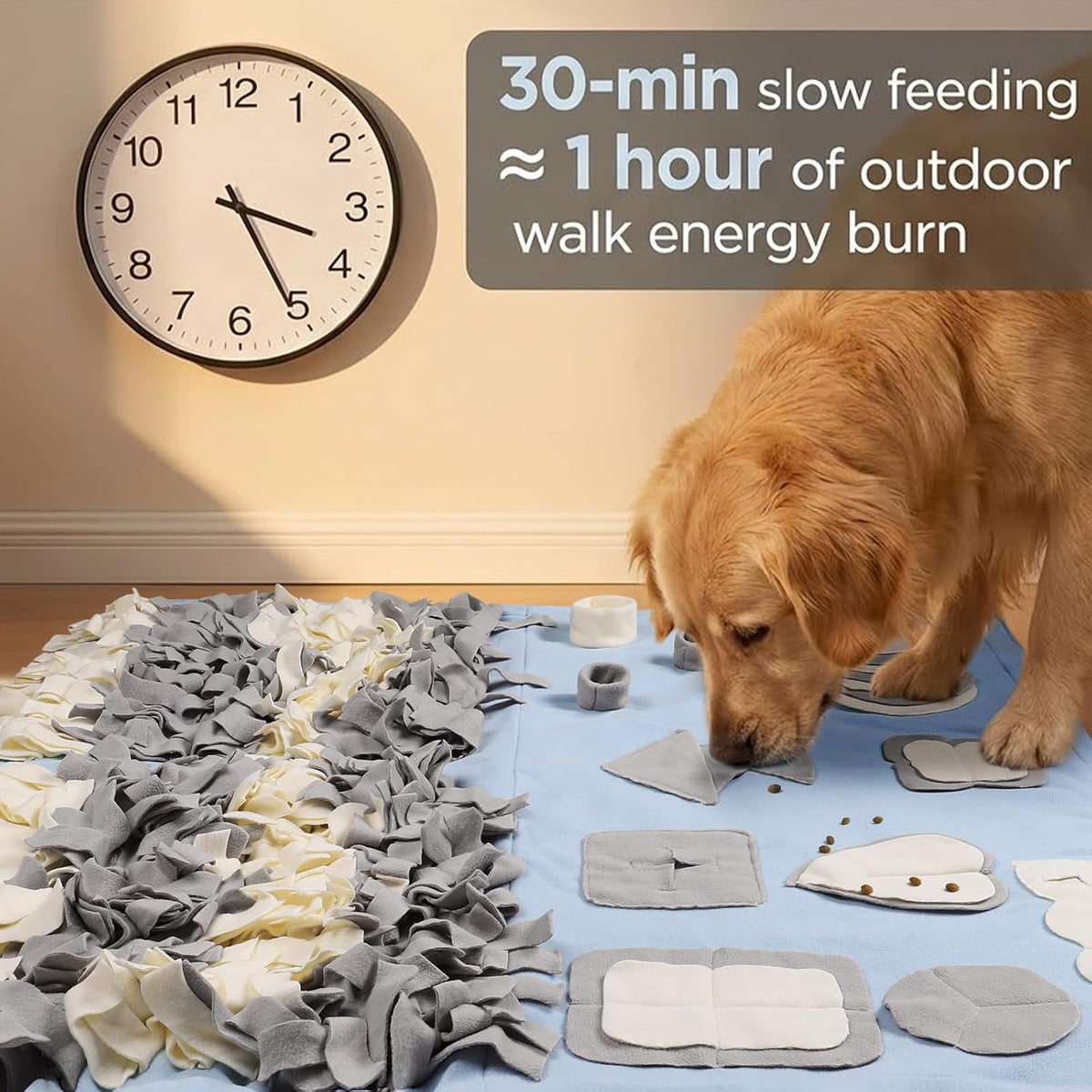 Snuffle Mat for Dogs: Slow Food Interactive Experience
