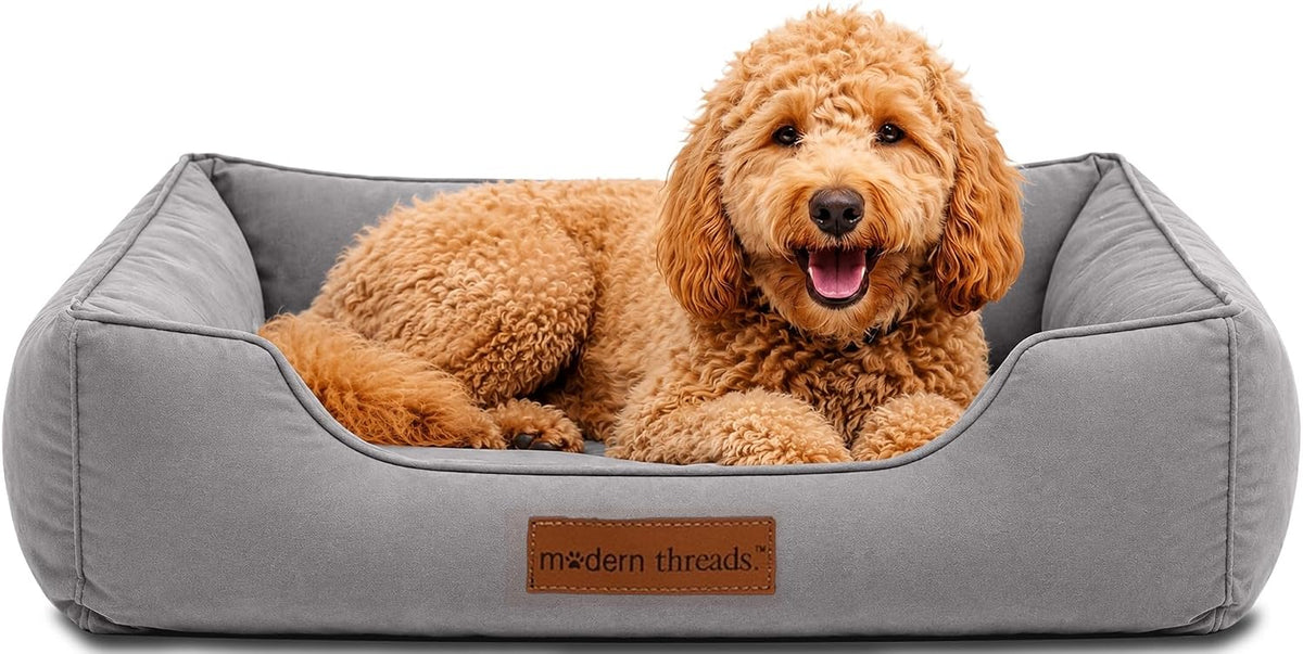 Modern Threads Luxury Dog Bed - Comfortable Tufted Velvet Cushion for Small to Large Dogs - Machine Washable - Durable & Cute Sleep Space for Pets - Pamper Your Pet with Cozy Beds - Charcoal