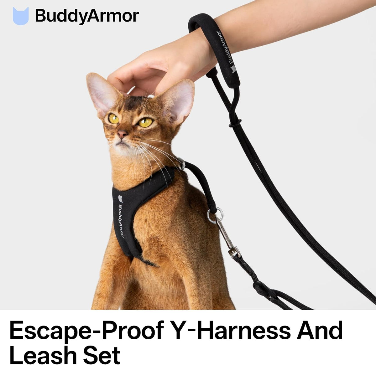 Escape Proof Cat Harness and Leash Set, Y Shape Cat Harness Adjustable Anti-Choke Soft Padded Vest Harness Hands Free Cat Rope Leash and Harness Set for Kitten Cats≤26lbs (Black, L)