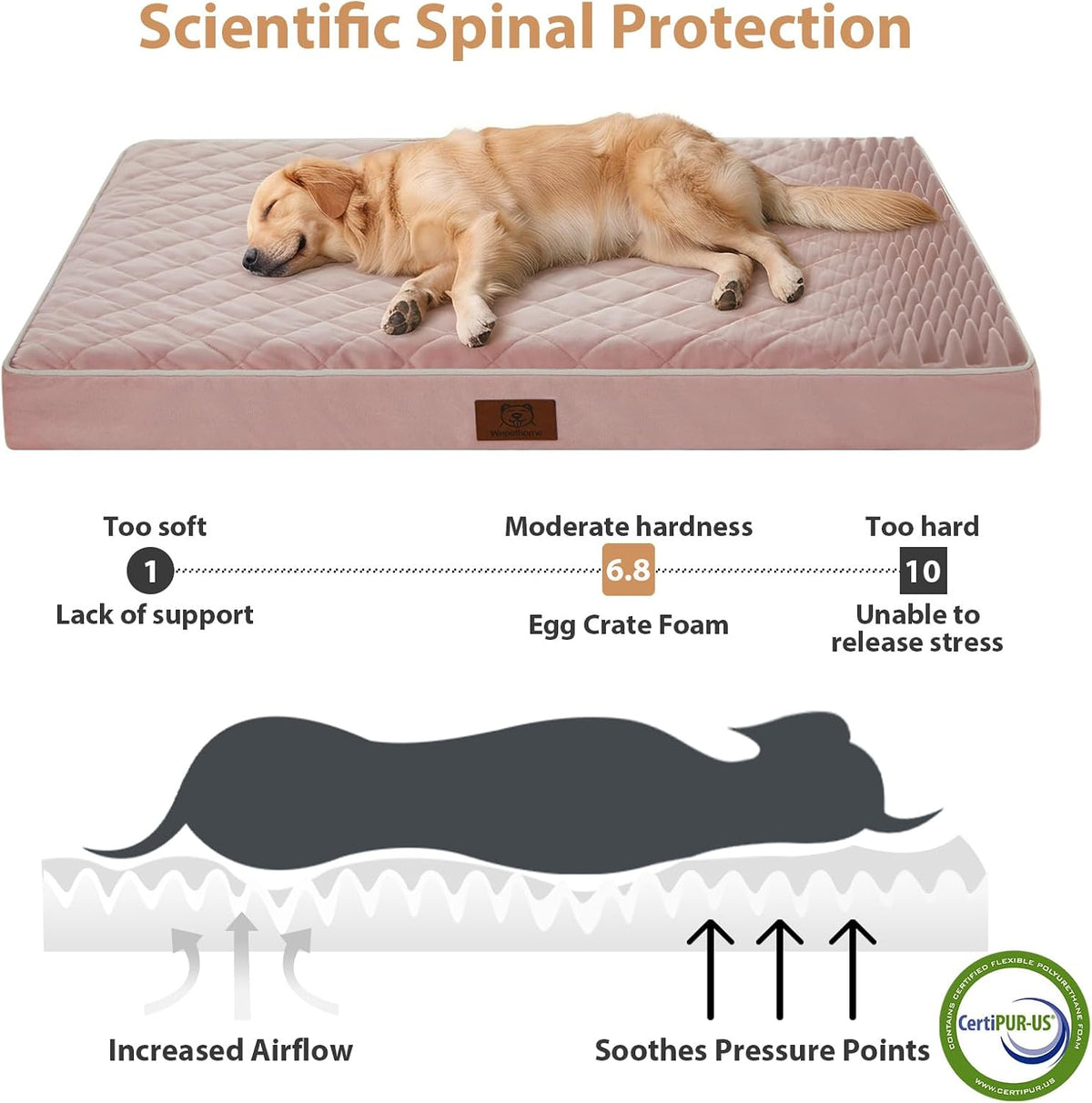 WNPETHOME Orthopedic Waterproof XL Dog Bed for Crate Cozy Sleep