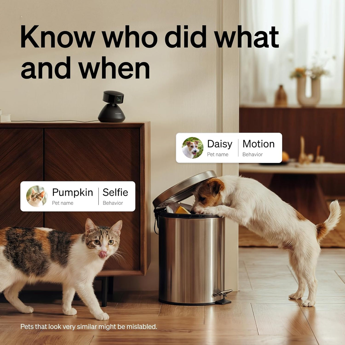 PETLIBRO Dog Camera with Phone App, 360° Auto Tracking Pet Camera Indoor with Phone App for Home Alone Pets, Cat & Puppy Camera with 2-Way Audio, Night Vision, Indoor Camera WiFi