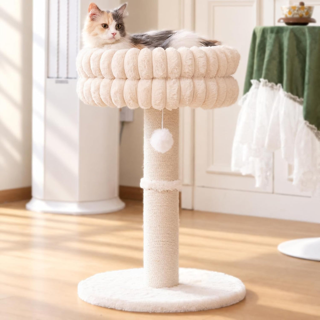 CHEERPALS Cat Scratching Post with Bed for Indoor Cats Cloud Cat Tree