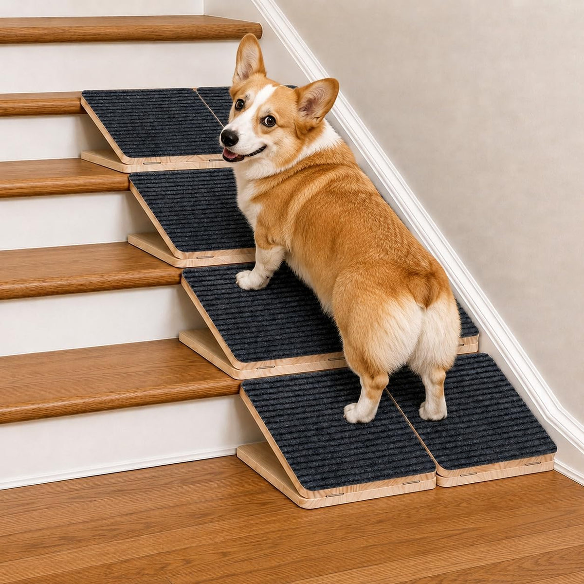 Dog Ramp for Stairs, Foldable Stair Wedges Assist for Small Dogs, 8 Pack