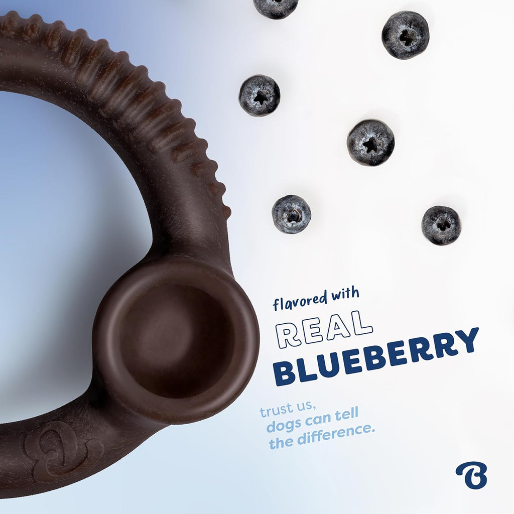 Benebone Ring Dog Chew Toy for Aggressive Chewers, Blueberry, Medium | Durable, Super Chewer, Dog Bones, Long-Lasting, A Size for Every Dog, Keeps Them Busy