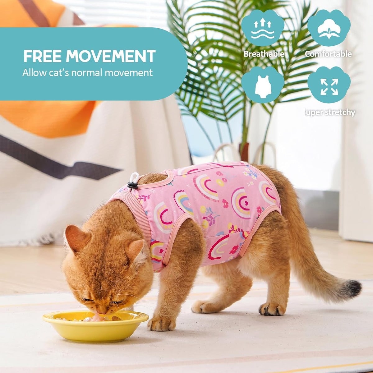 Avont Cat Recovery Suit - Kitten Onesie for Cats After Surgery