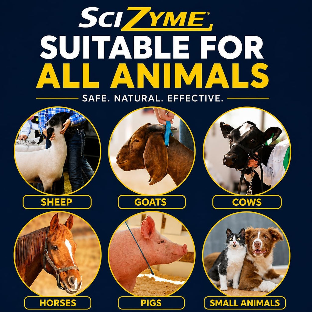 SciZyme - Enzyme Based Eliminator & Control Odors & Ammonia in Cooler Rooms, Barns, Trailers, Kennels, Etc. (Makes 16 Gallons)