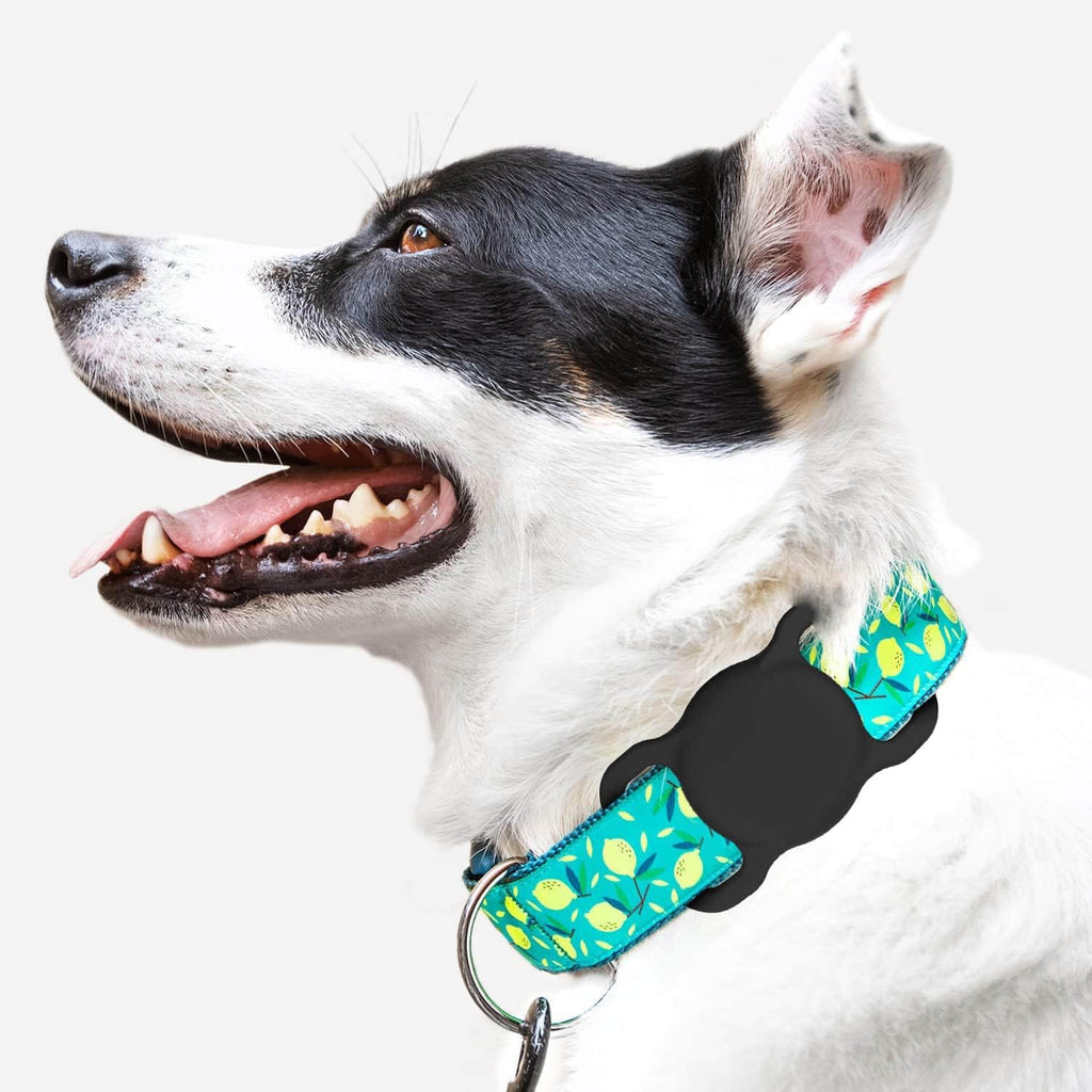 for AirTag Dog Collar Holder (WineRed&Midnight Blue)