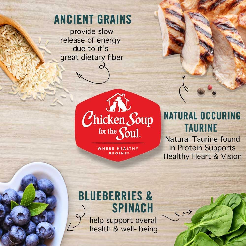 Chicken Soup for the Soul All Natural Premium Adult Dry Cat Food, Real Meat First Ingredient, No By-Products, Supports Heart, Gut & Immune Health, Chicken & Brown Rice, 4.5lb (Pack of 2)